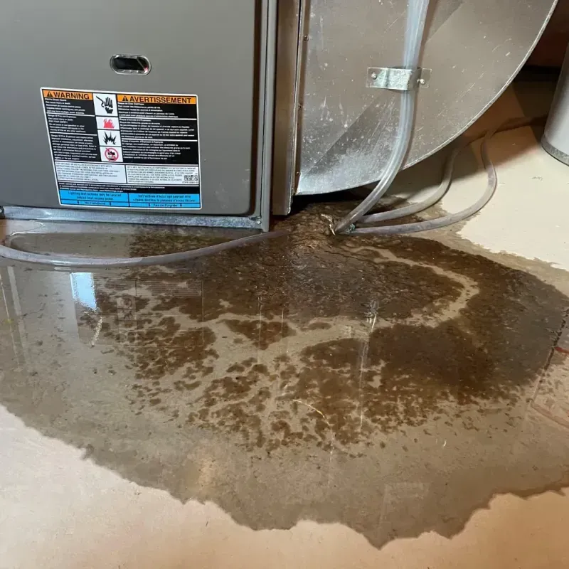 Appliance Leak Cleanup in Good Hope, AL